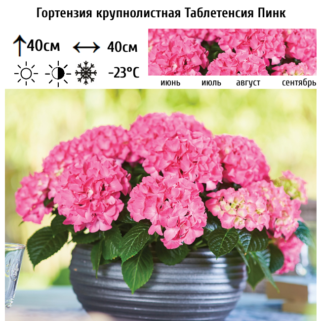 Основное изображение товара