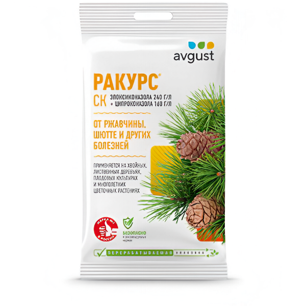 Ракурс